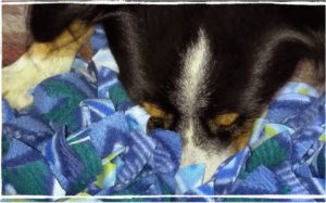 Dog and snuffle mat